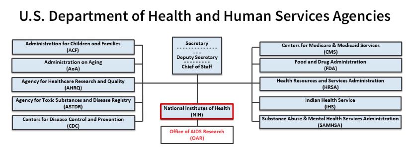 A diagram that shows that the Office of AIDS Research is a part of the National Institutes of Health (NIH), which is an agency of the U.S. Department of Health and Human Services (HHS). Each of the components are in a box. A vertical line from the Office of AIDS Research leads up to the NIH. A vertical line from NIH leads up to the HHS Chief of Staff, Deputy Secretary, and Secretary. The names of each HHS agency are included in this chart. All the rectangles are blue except for the one that contains the Office of AIDS Research, which is white. Red lettering and a red outline are used to show that the Office of AIDS Research is a component of NIH.