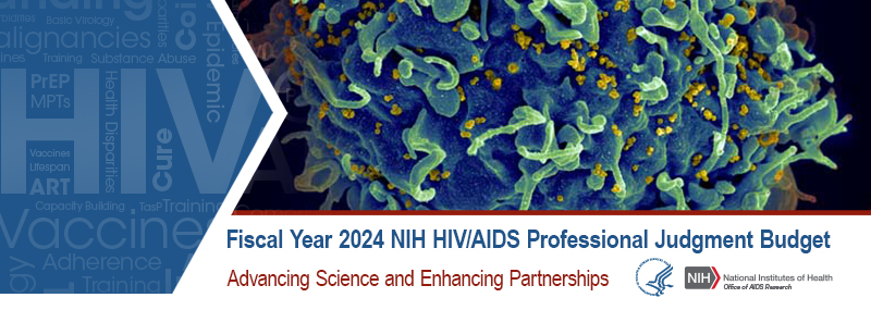 Fiscal Year 2024 NIH HIV/AIDS Professional Judgment Budget