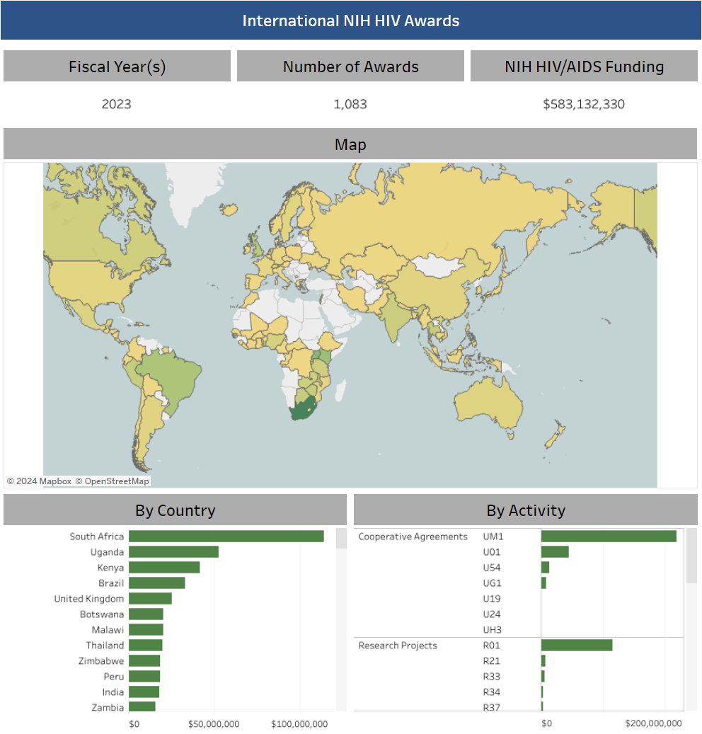 NIH International HIV Awards Topical Portfolio Analysis Dashboard Screenshot