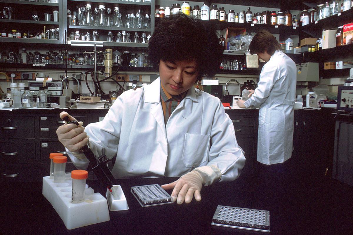 Laboratory technician using the enzyme-linked immunosorbent assay (ELISA) test to screen for HIV-1 antibodies.