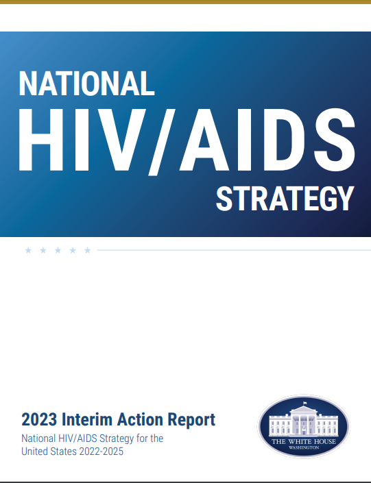 nih strategic plan for hiv and hiv related research