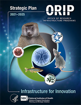 Cover of ORIP Strategic Plan