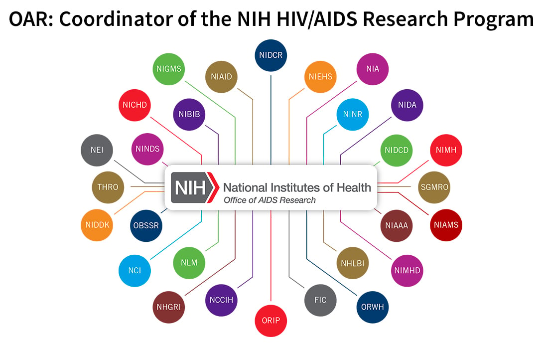 A diagram that shows the relationship between the NIH Office of AIDS Research and the NIH Institutes, Centers, and Offices that support HIV/AIDS research. The Office of AIDS Research logo appears in the center of the diagram and is connected by lines to 28 multicolored small circles that surround the Office of AIDS Research logo. Each circle represents a different Institute, Center, or Office and contains the abbreviation for the Institute, Center, or Office.