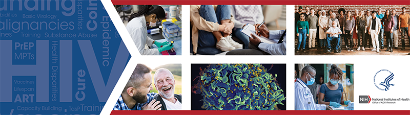 Fiscal Year 2027 NIH HIV/AIDS Professional Judgment Budget